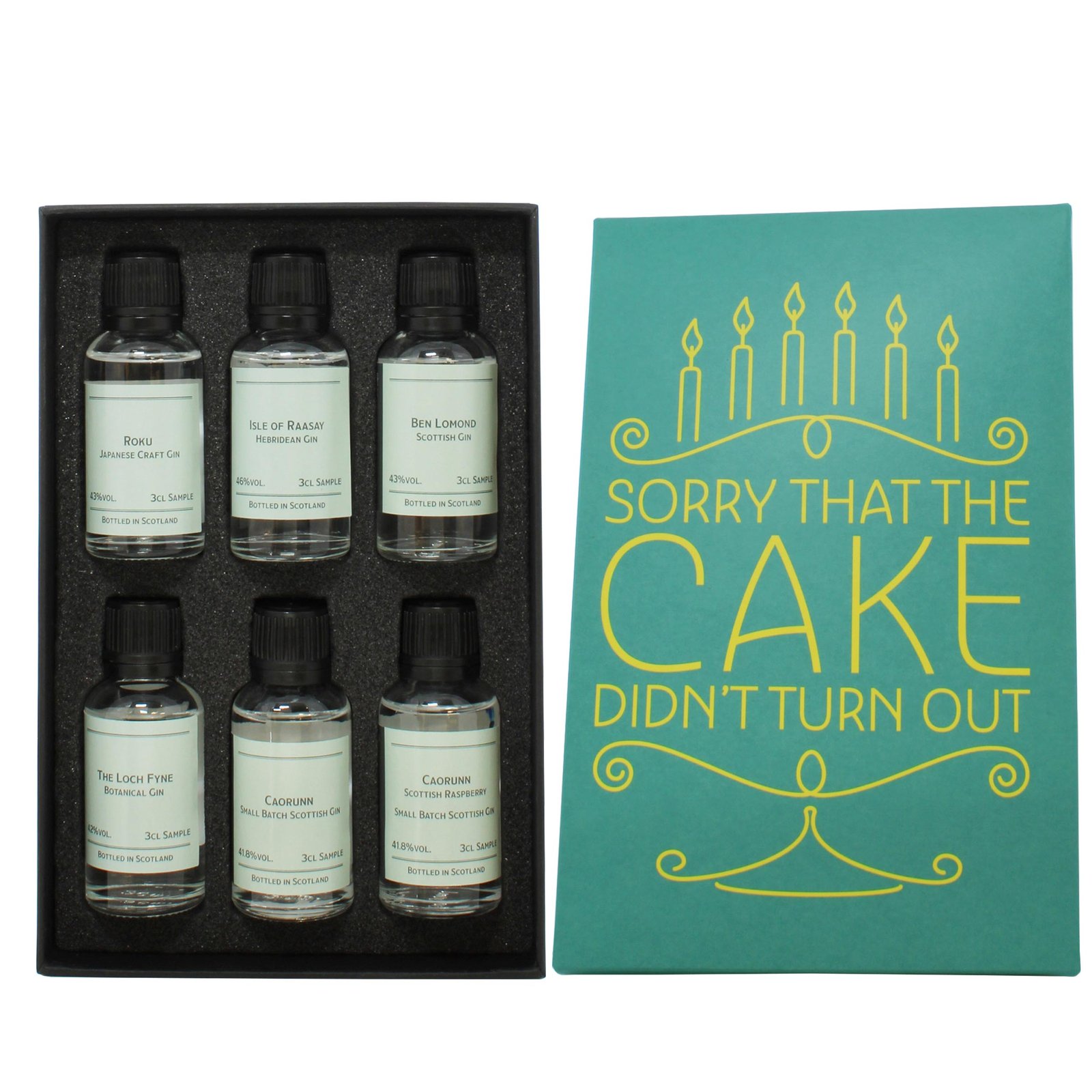 cake_didn_t_turn_out_gin_ps2.jpg